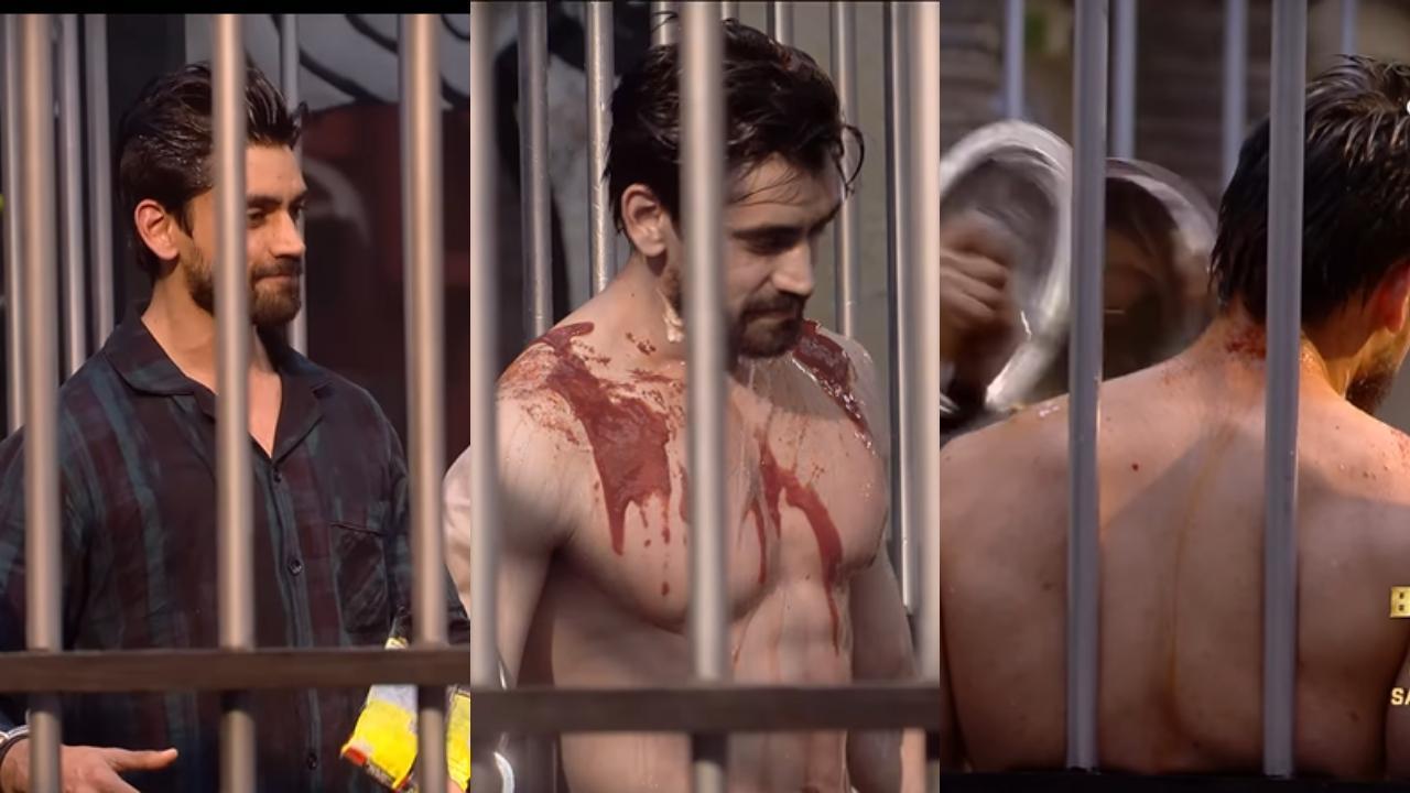 Bigg Boss 18: Kashish Kapoor tortures Avinash by putting THIS on his body; Karan Veer schools Rajat Dalal