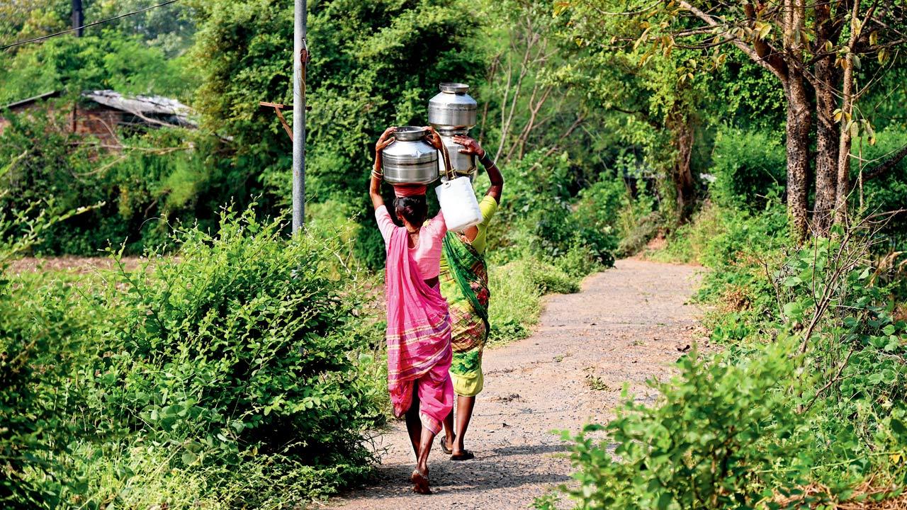 Nearly 4,000 people reside in the island’s hamlets of Wadhiv and Vaitypada, which fall under the Boisar Assembly constituency