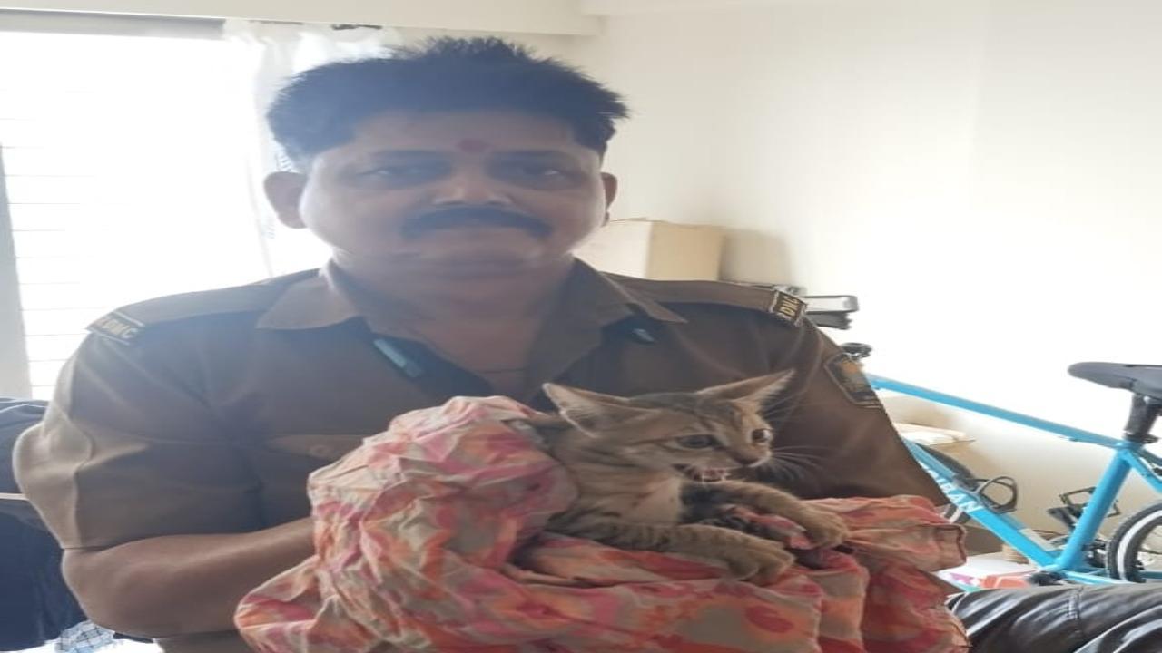 Thane Municipal Corporation rescues cat stuck on 15th-floor balcony in Manpada