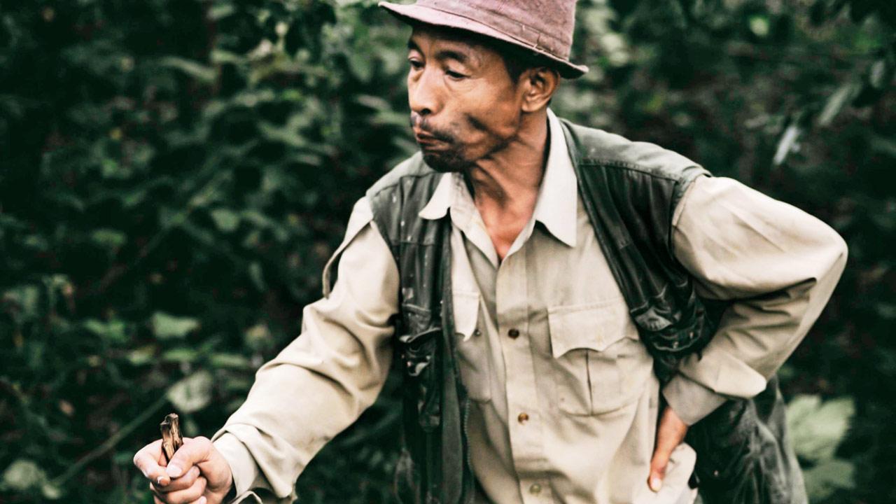 Coffee grower at Kigwema village, Kohima, Nagaland