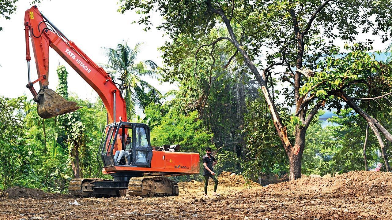 Mumbai: Construction dumping threatens tree cover at city veterinary college campus