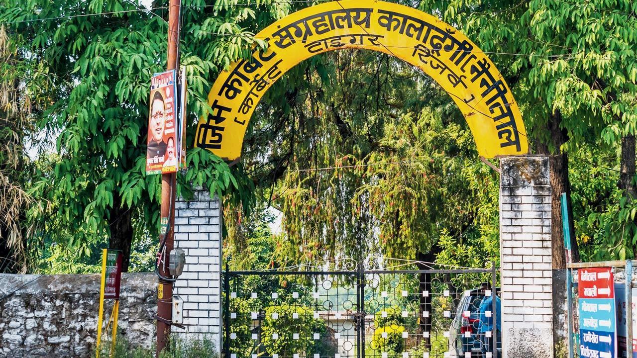 Cameras in Jim Corbett spying on women: Study