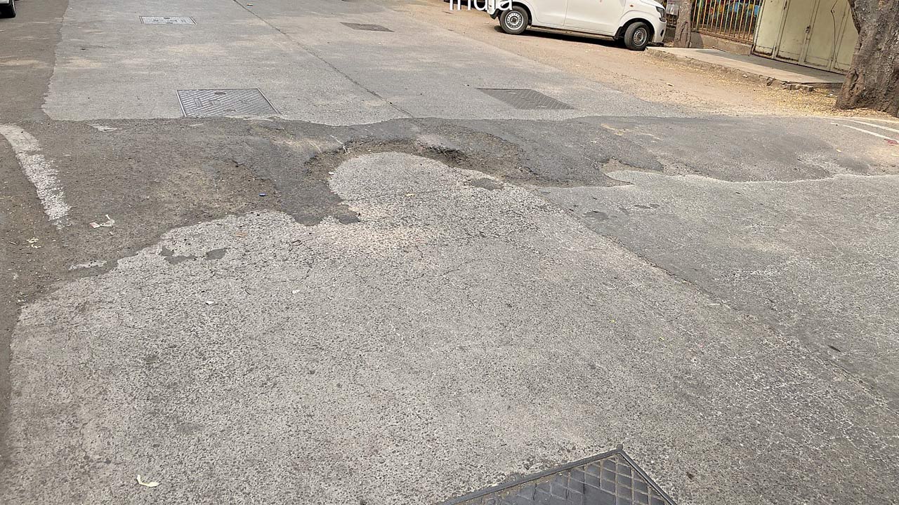 Bumps on V N Purav Marg