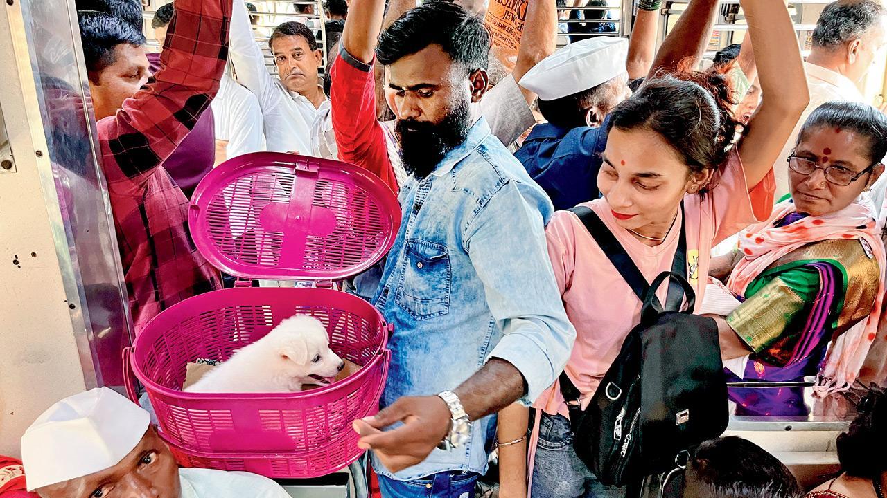 Mumbai Diary: Friday Dossier
