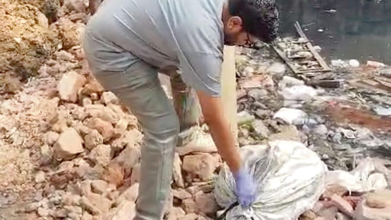 Kandivali shocker: Five dogs found killed, dumped in nullah