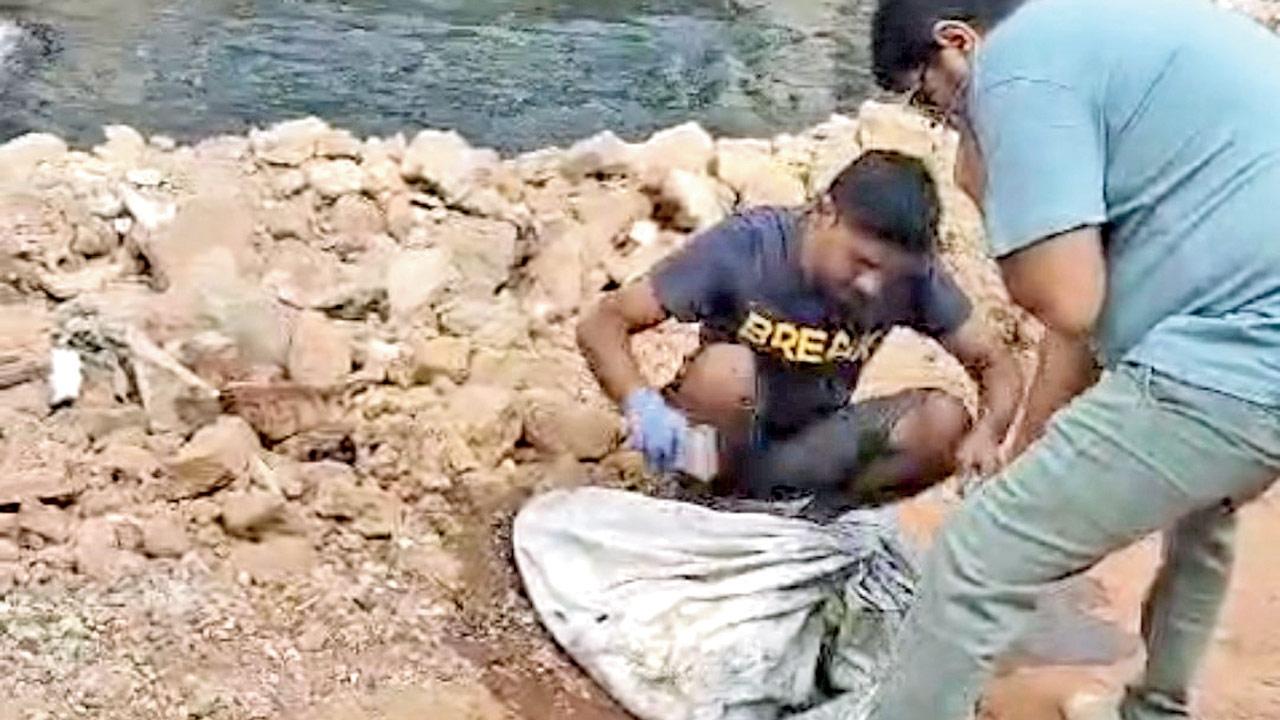 NGO and BMC workers recover the dogs’ bodies from the nullah