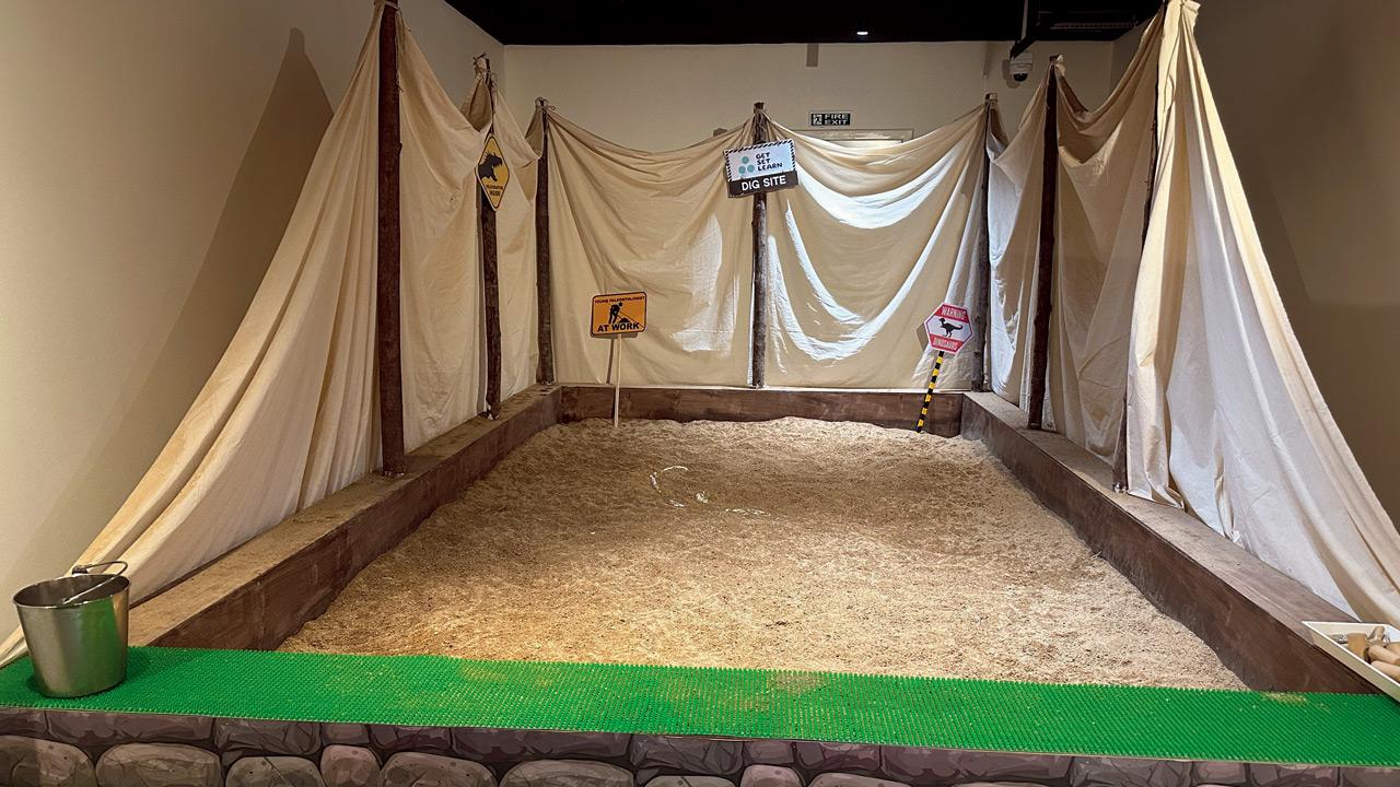 The fossil sandpit at the museum