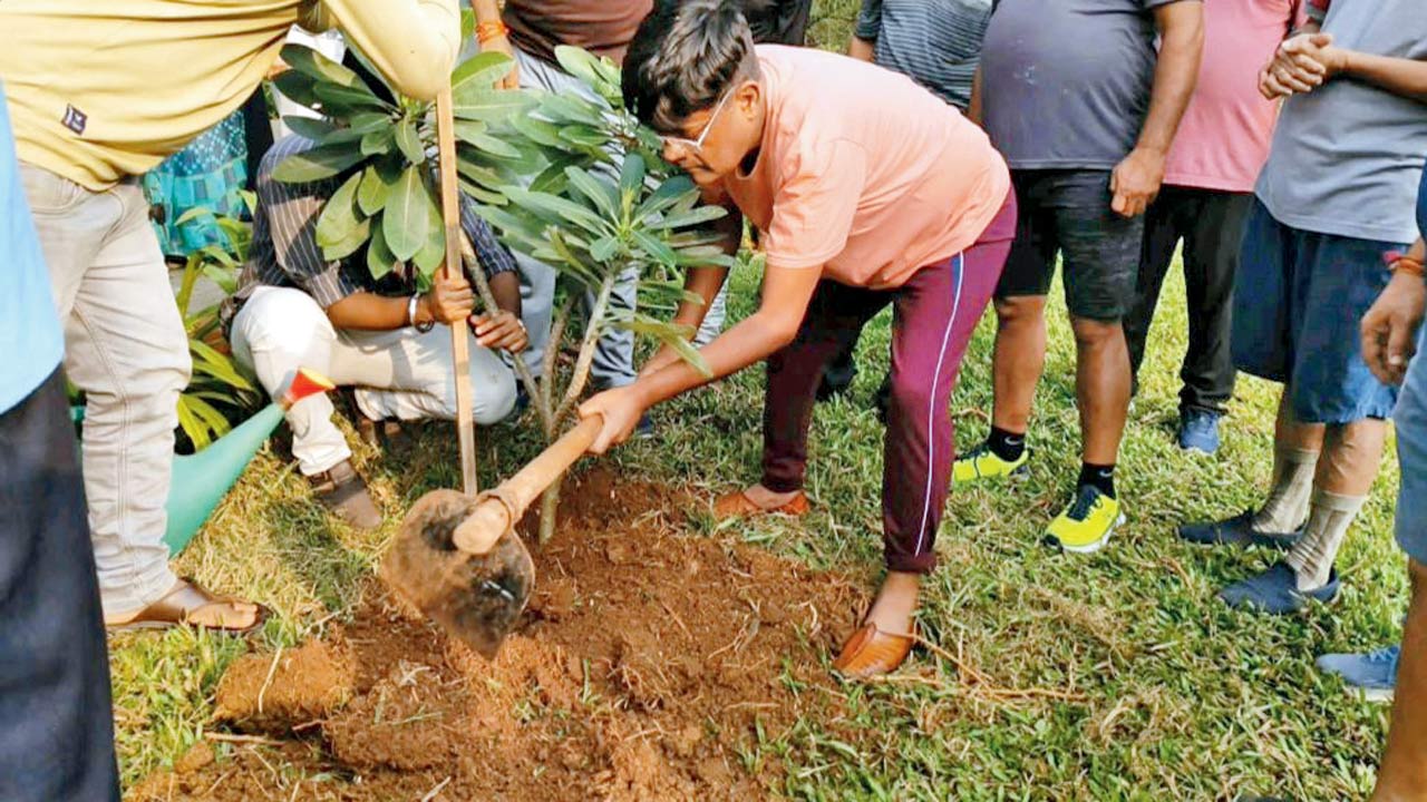 Dr Heera Lal Patel planting a sapling