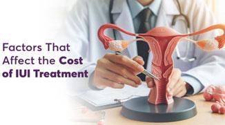 Factors That Affect the Cost of IUI Treatment