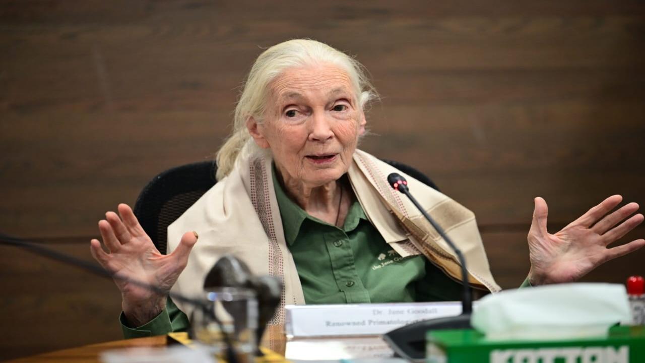 IN PHOTOS: Conservationist Jane Goodall visits SGNP in Mumbai