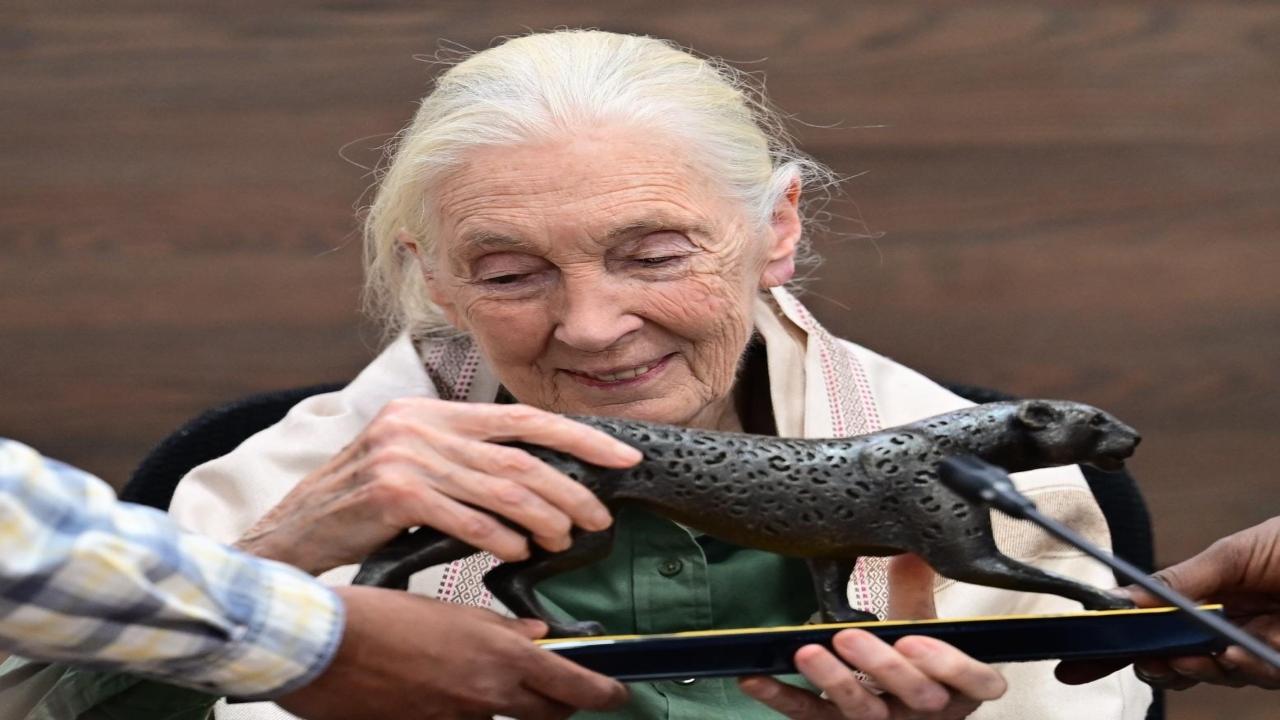The 'Roots & Shoots' programme, which is run by her organisation across 100 countries, supports projects related to animals and the environment