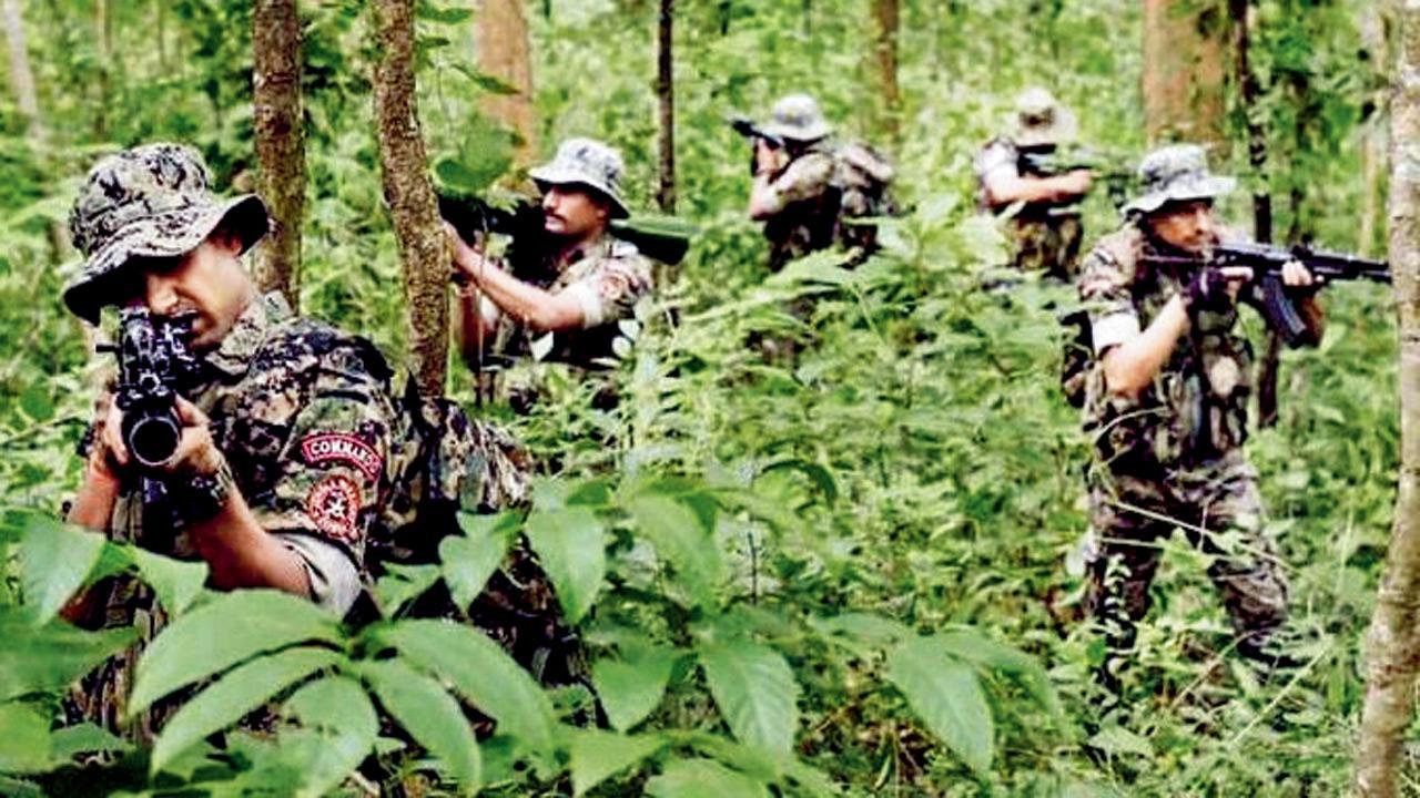 10 Maoists gunned down by security forces in Chhattisgarh