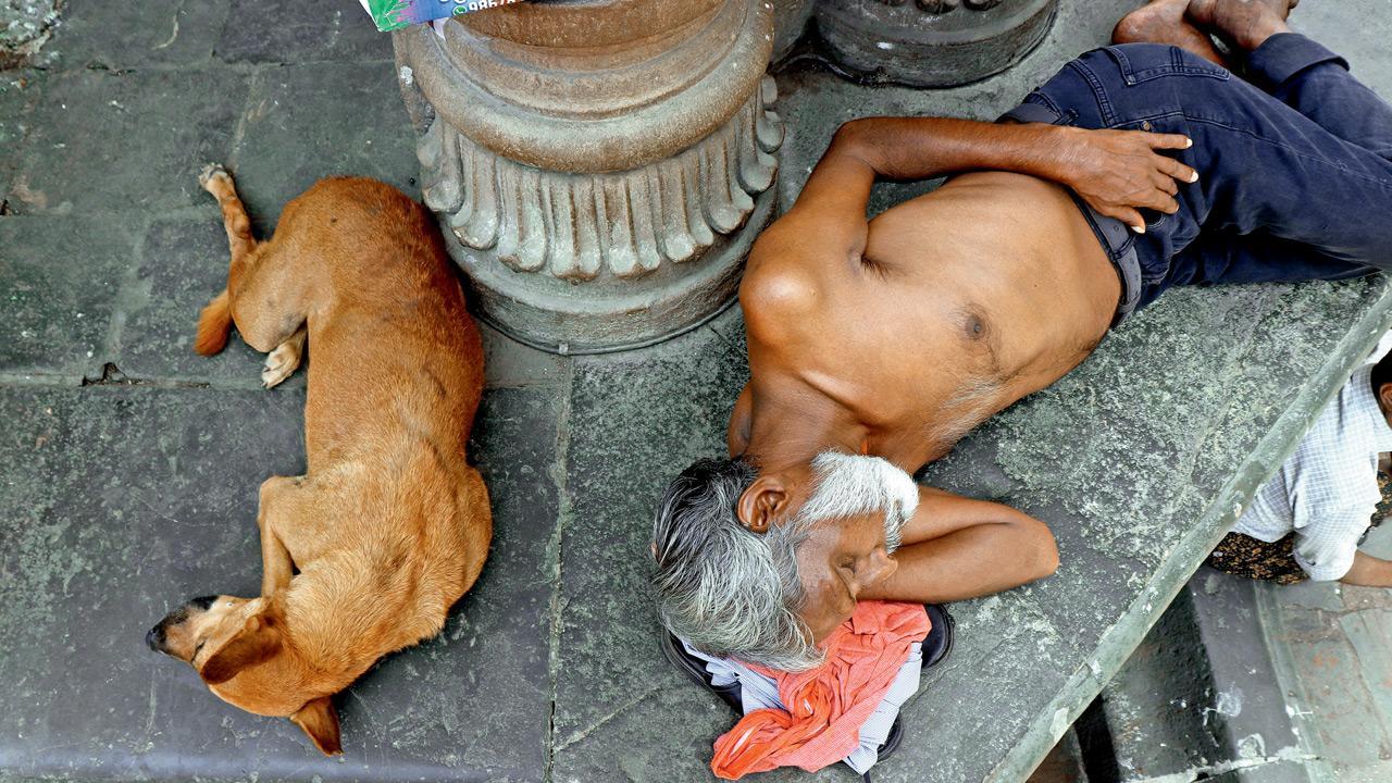 Mumbai Diary: Sunday Dossier
