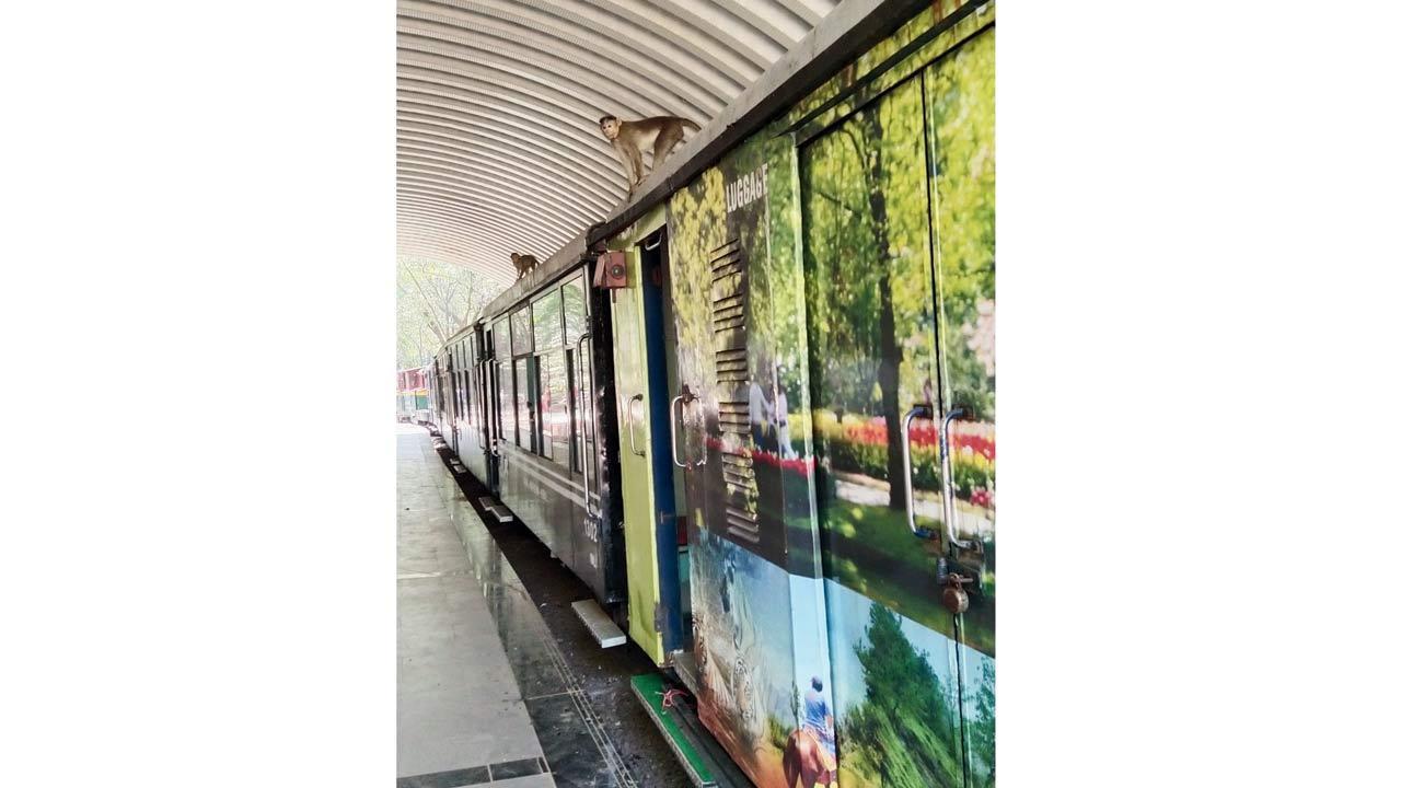 Maharashtra: ‘Matheran rail line upgrade will be delayed’