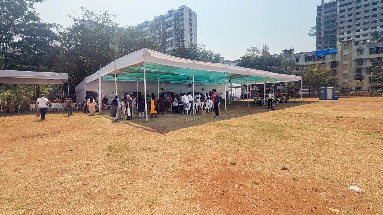 Maharashtra elections 2024: Why voting was a breeze
