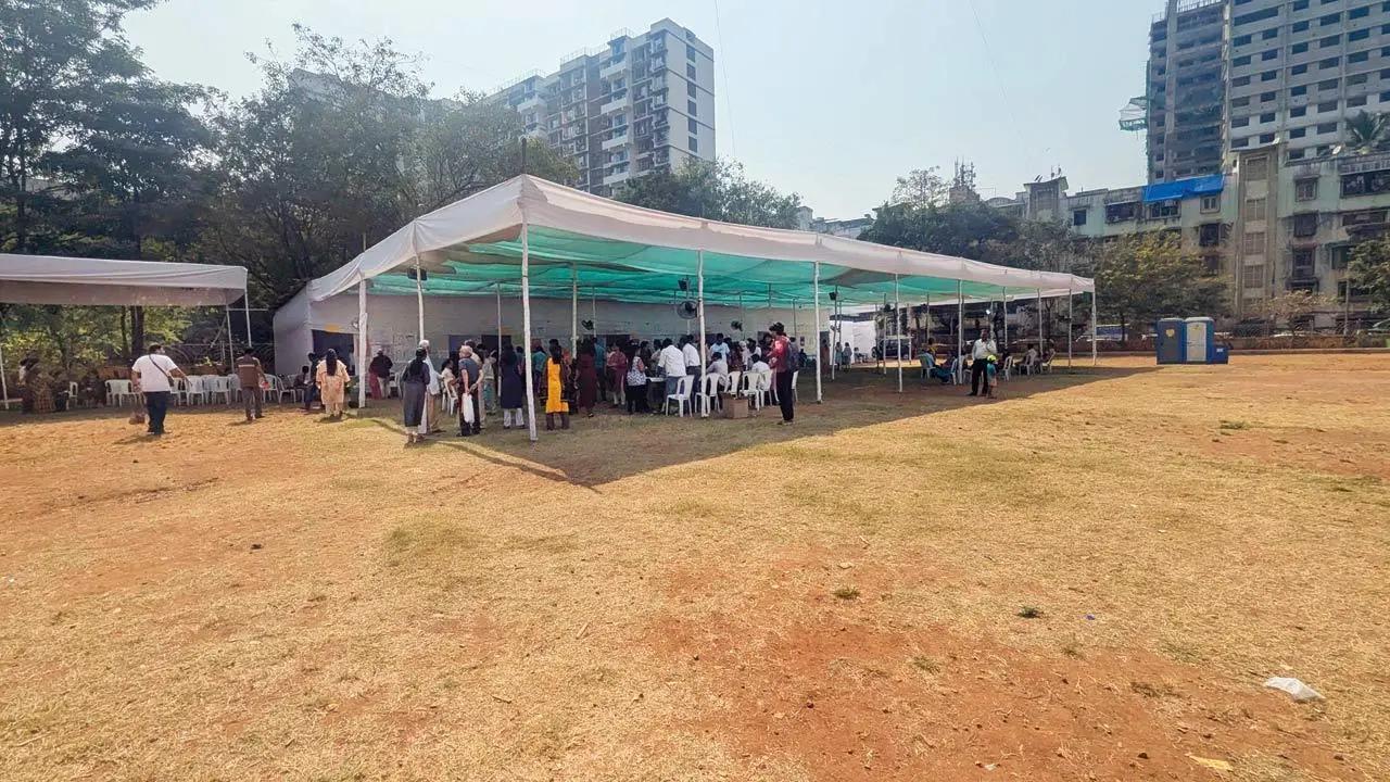 Mid-Day Top News at this hour: Why voting for Maharashtra elections 2024 was a breeze; Sensex, Nifty tumble in early trade and more