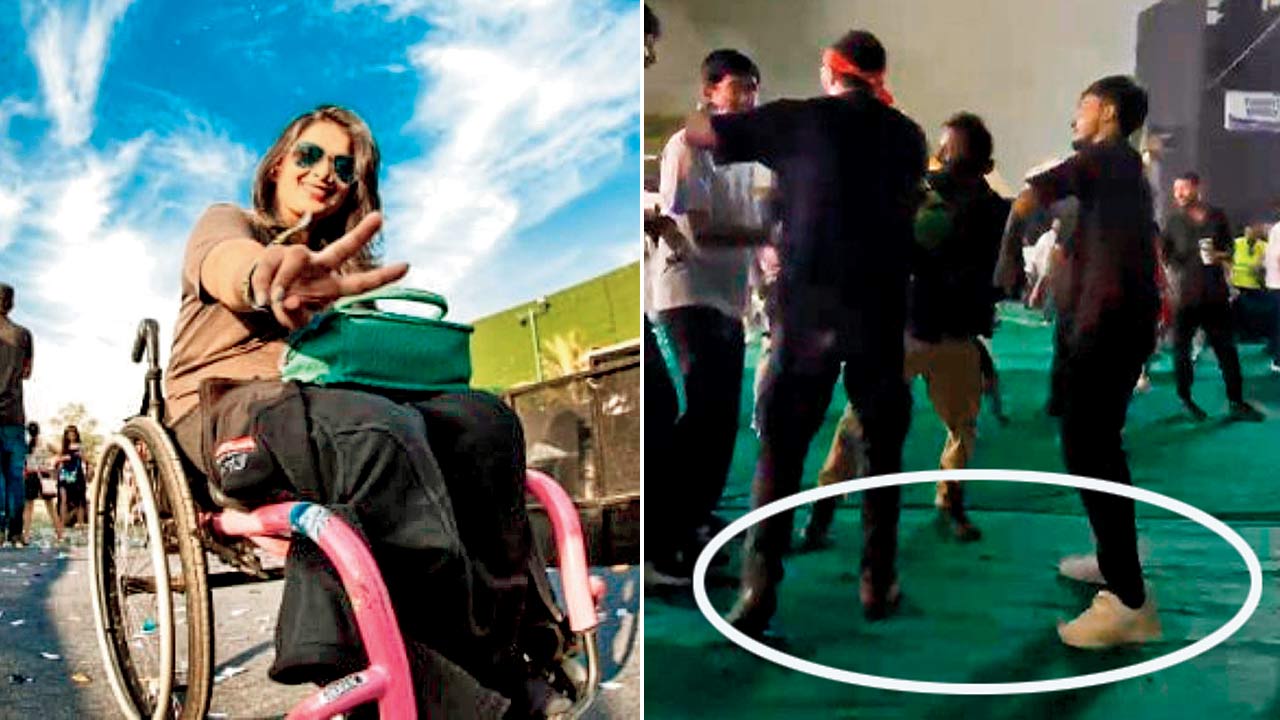 (From left) Virali Modi at an earlier concert; fans at the Alan Walker concert dance on the bumpy carpet