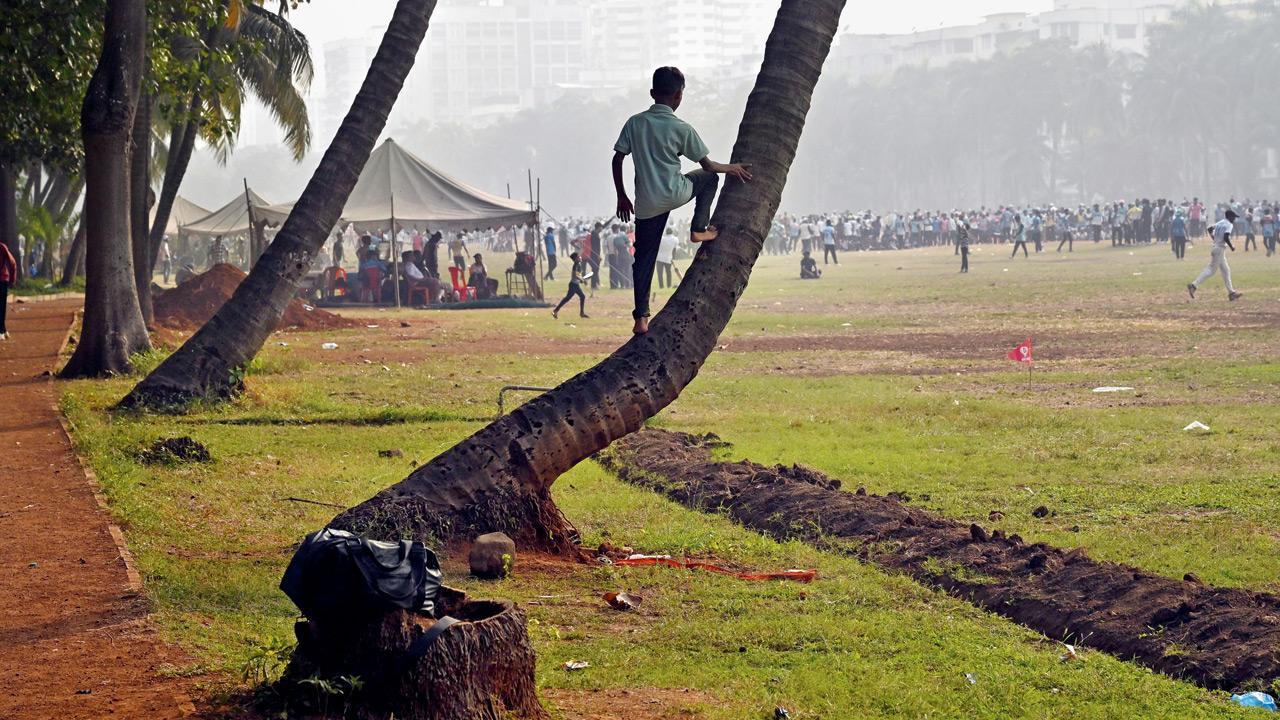 Mumbai Diary: Wednesday Dossier