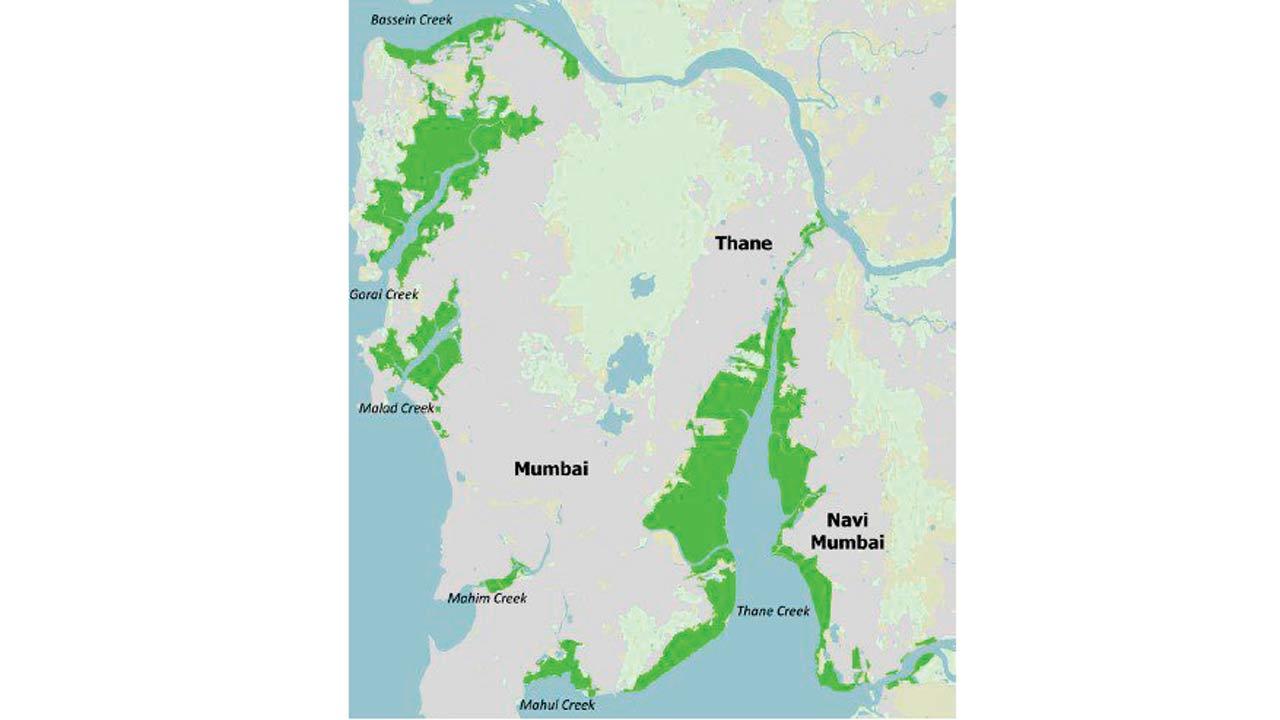 Area-wise distribution of golden jackals in Mumbai
