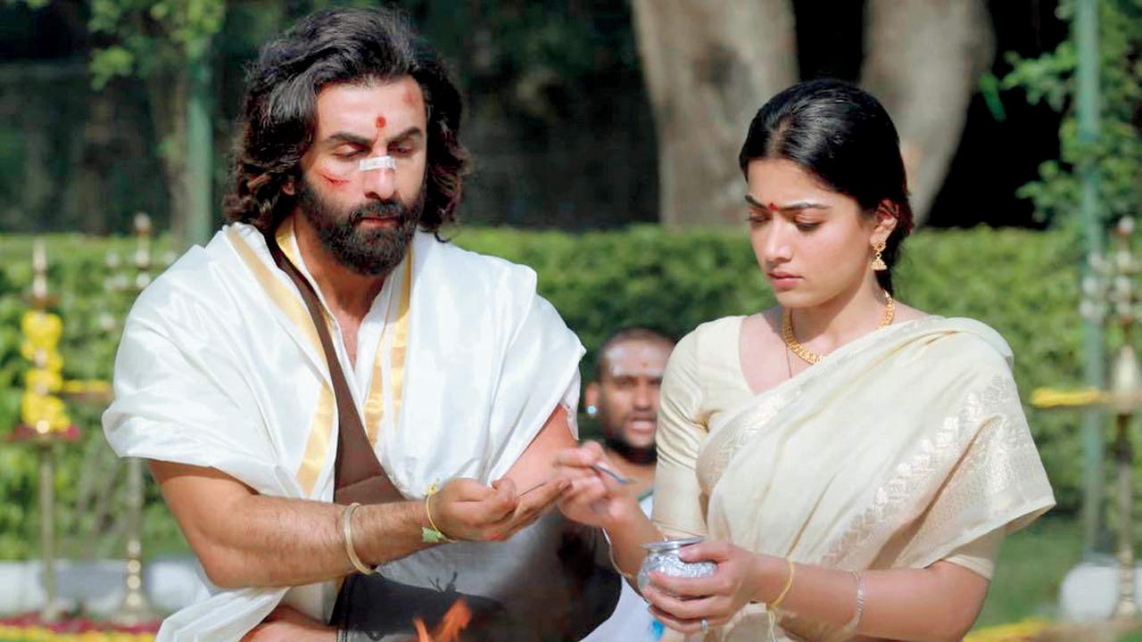 Stills from Animal  