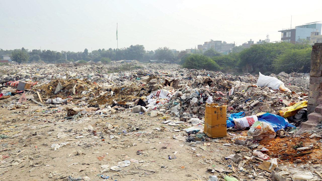 Implement waste management rules: SC tells Delhi govt