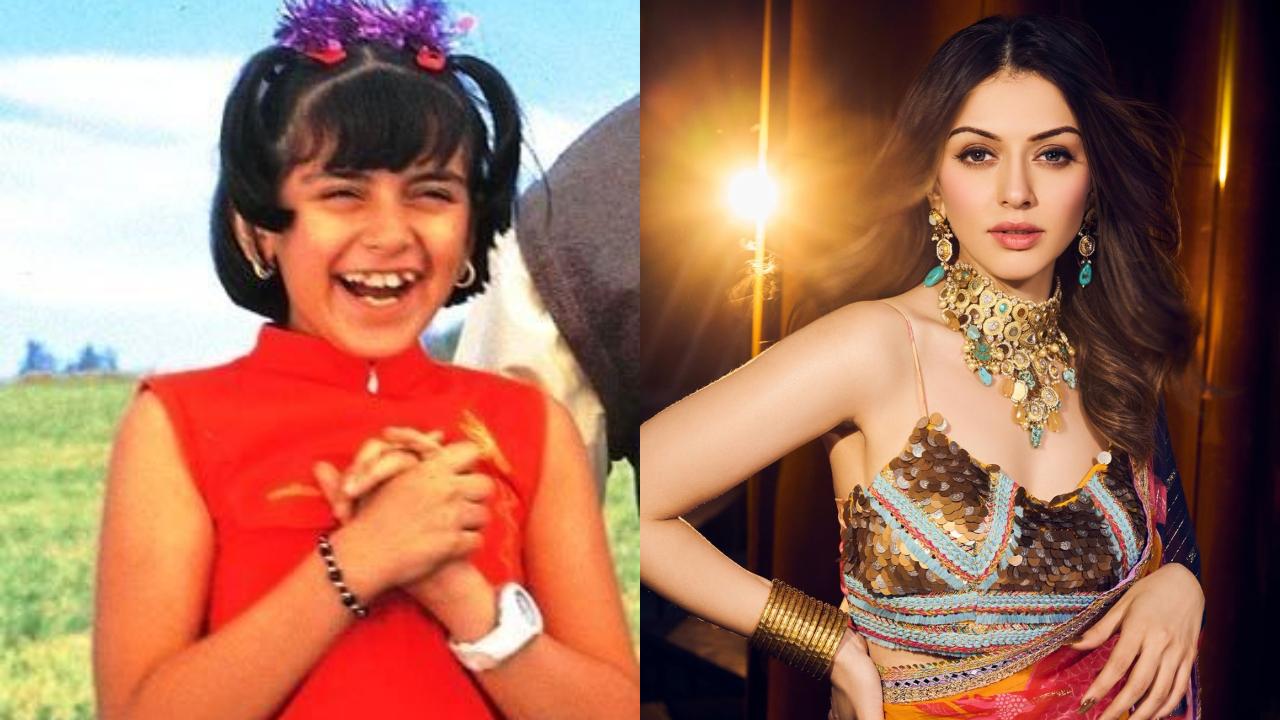 Hansika Motwani has done several shows and movies as a child artist. Her popular one is ‘Koi... Mil Gaya’ with Hrithik Roshan. 