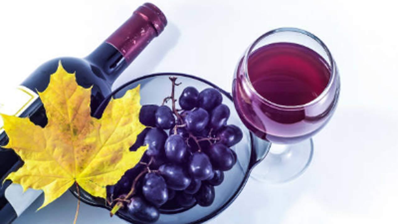 International Merlot Day: What makes Merlot unique, and its ideal food pairings