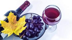 International Merlot Day: What makes Merlot unique, and its ideal food pairings
