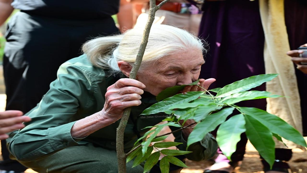 As a Messenger of Peace since 2002, she continues to help the United Nations focus attention on environmental issues