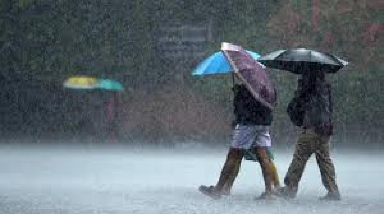 Tamil Nadu: State experiences heavy rainfall; standing crops and schools affected