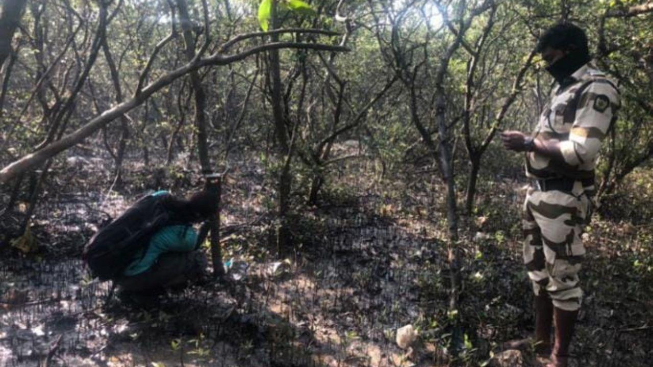 Between December 2022 and July 2023, the Wildlife Conservation Society – India, in partnership with the Mangrove Foundation, conducted a baseline survey on the distribution of golden jackals in the Mumbai Metropolitan Region (MMR)