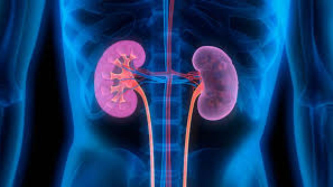 Kidney disease may raise the risk of strokes, say experts