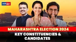 Maharashtra Election 2024: Key Constituencies and Candidates in focus