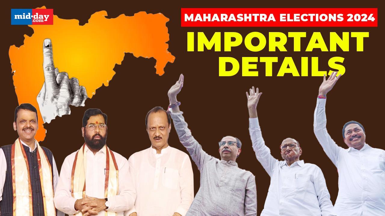 Maharashtra Election 2024: Date, Timings, Key Issues - all you need to know