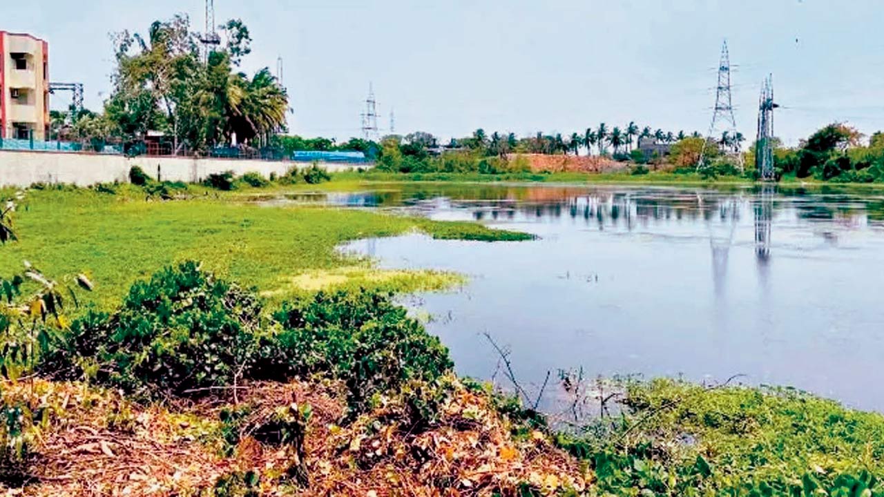 Dredging of Lokhandwala Lake is one of the points highlighted. File pic