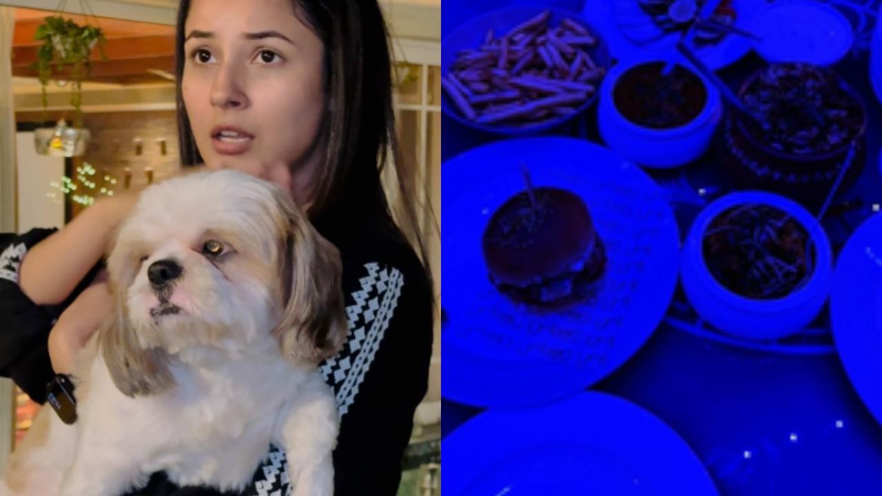 Diwali 2024: Shehnaaz Gill's celebration is all about food and fun