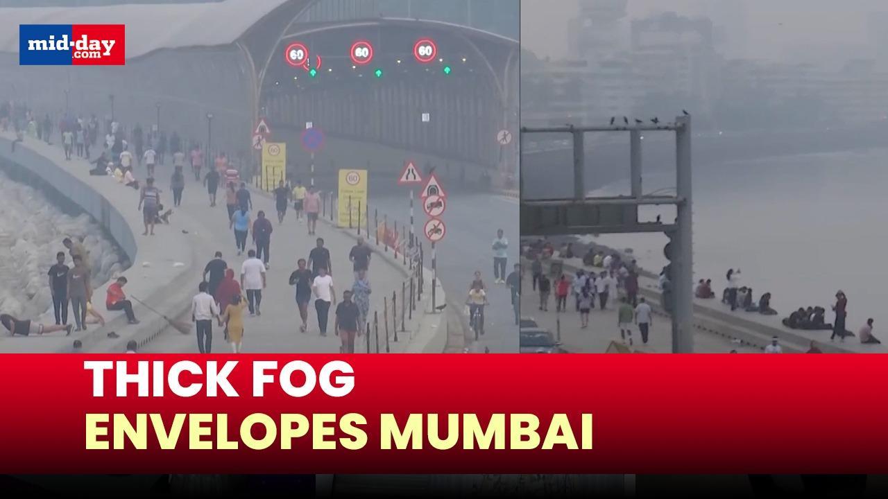 Mumbaikars wake up to a foggy morning, Air Quality deteriorates in the city