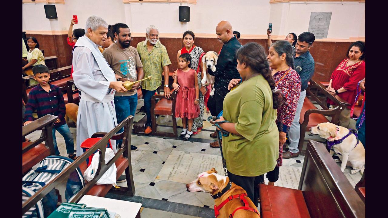 Fr Joe D’Souza, parish priest, blessed pets brought in by owners and parishioners at Our Lady of Health Church Cavel, Kalbadevi. PICS/SHADAB KHAN 
