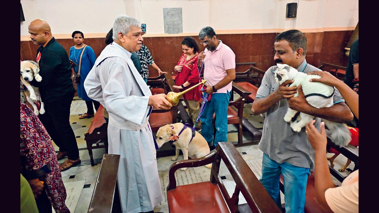 Fr Joe D’Souza, parish priest, blessed pets brought in by owners and parishioners at Our Lady of Health Church Cavel, Kalbadevi. PICS/SHADAB KHAN 