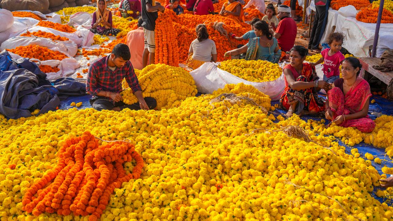 Vendors wait for customers ahead of Diwali at a flower market in Delhi's Ghazipur