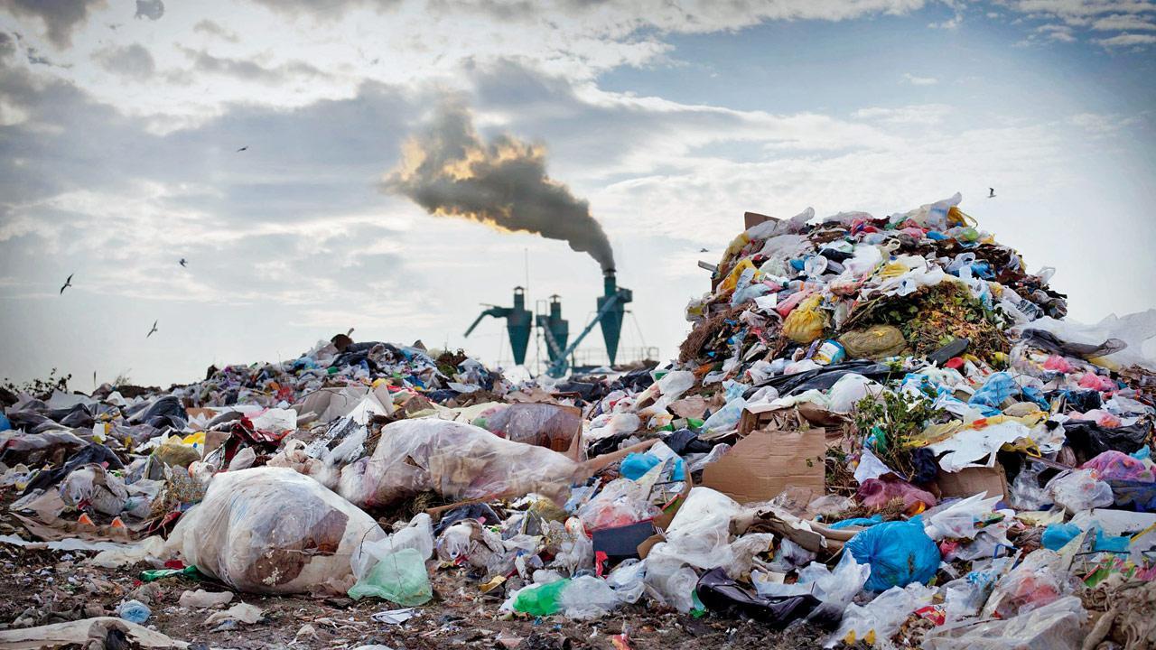 Don’t burn the waste, says Delhi environmental org