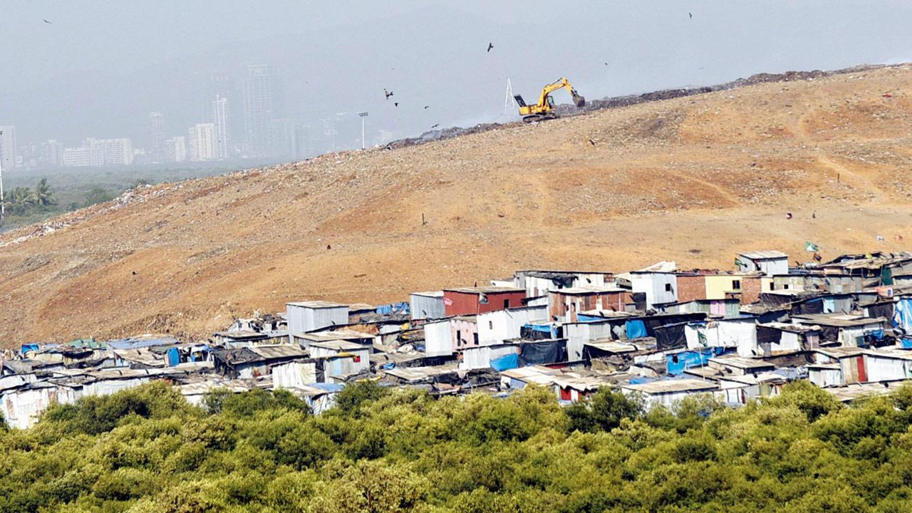 Mumbai: ‘Not feasible for BMC to clean Deonar dumping ground’