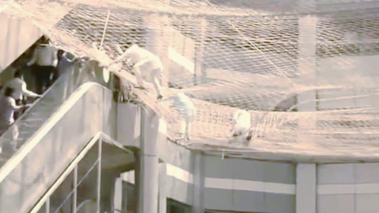 Mumbai: Maharashtra Dy speaker, others jump into Mantralaya safety net