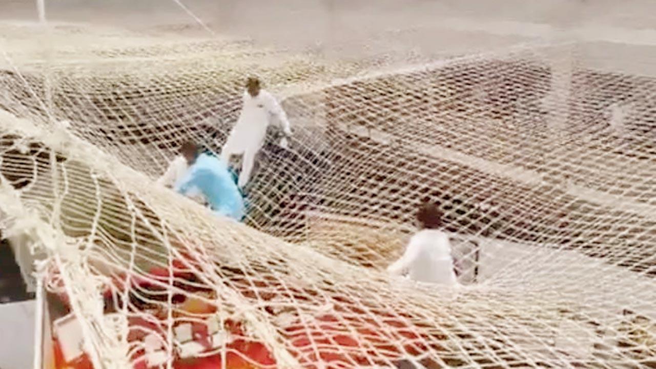 Video grab of MLAs after they landed on the safety net