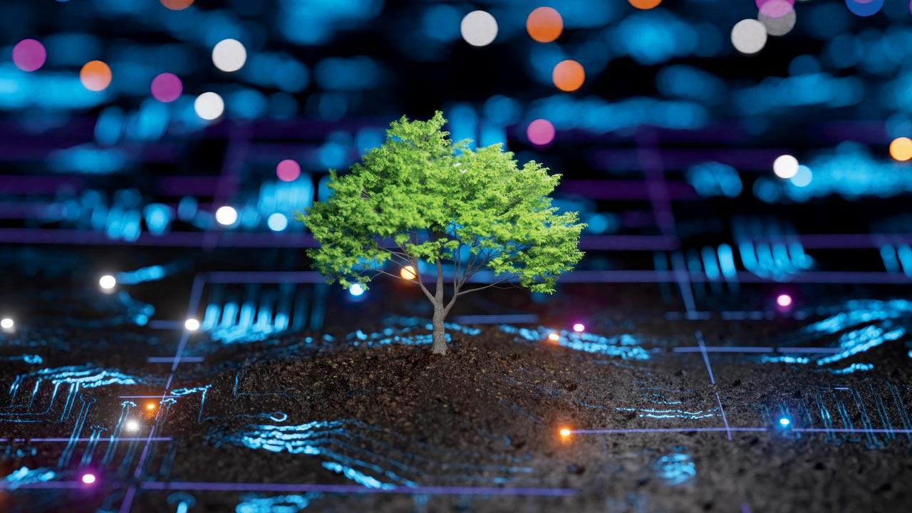 Green data centres help reduce carbon footprint. Representation pic