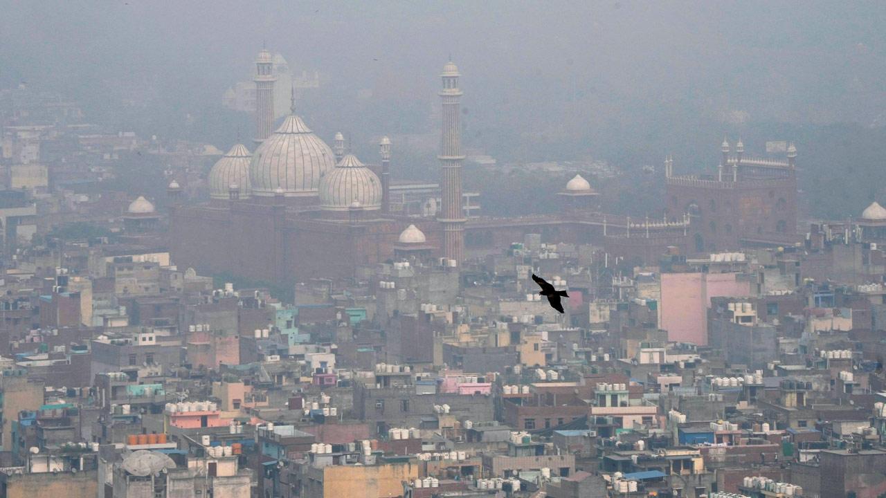 SC fumes at CAQM over stubble burning failure