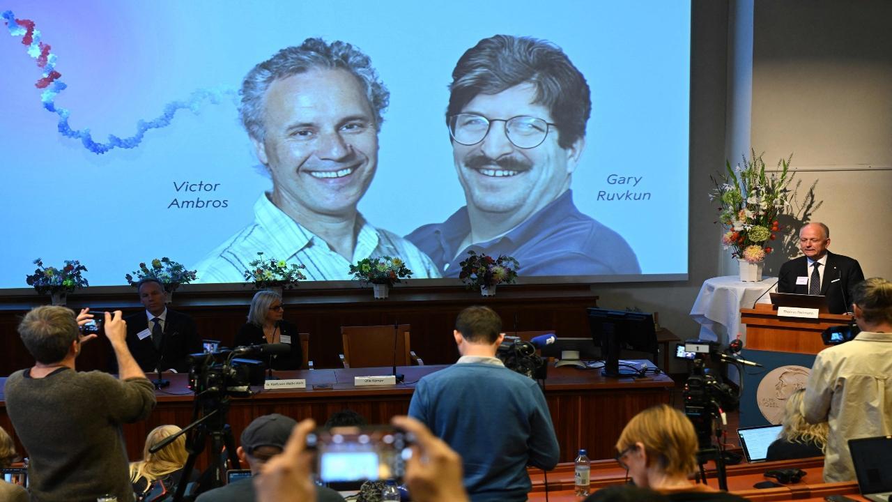American researchers win Nobel Prize in medicine for discovering microRNA 
