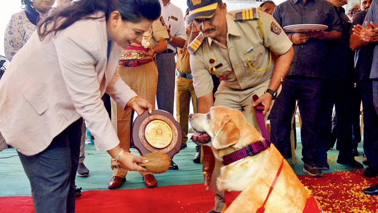 Mumbai Police dog Oskar, who detected bomb near Antilia, retires from force