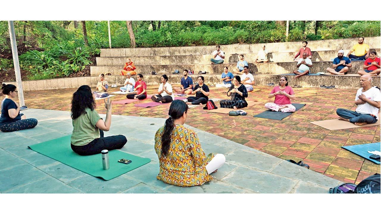 Want to catch a breather? Attend these weekly yoga sessions at Sanjay Gandhi National Park