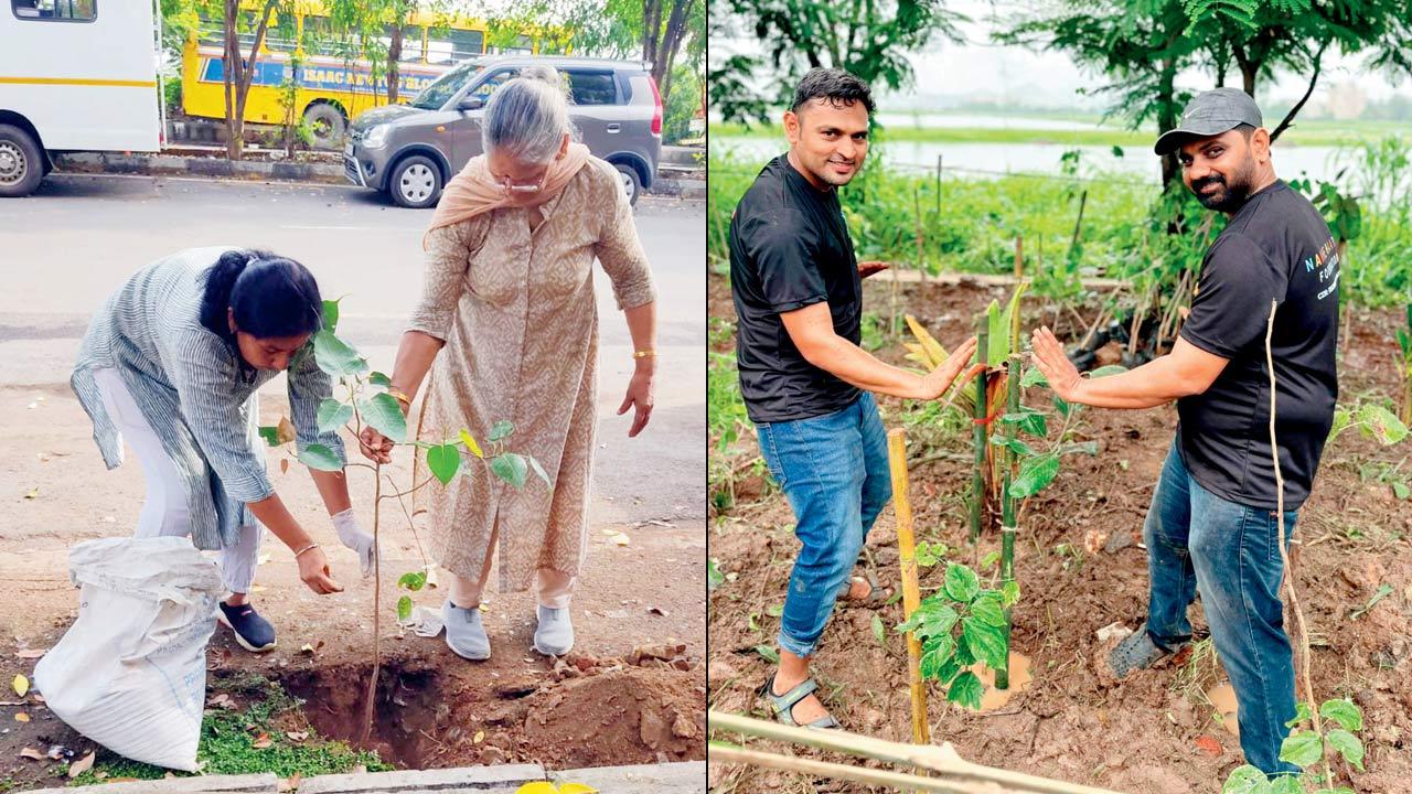(Left and right) Participants contribute by planting saplings in their neighbourhood 
